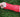 Can You Play Soccer with a Broken Wrist? Guidelines for Soccer Referees & Players