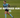 How Much Do Referees Run in a Game?