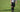 Soccer Referee Assignor