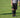 Soccer Referee Assignor