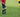 6 Advantages of Using a Write-On Referee Card