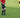 6 Advantages of Using a Write-On Referee Card